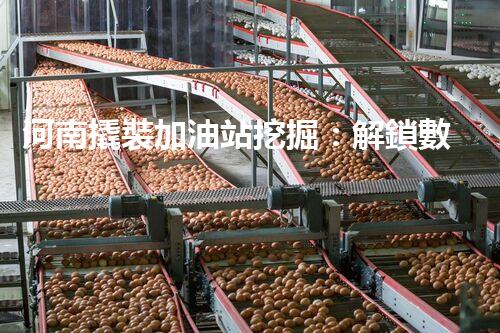 河南撬裝加油站挖掘：解鎖數(shù)字營(yíng)銷的秘密！